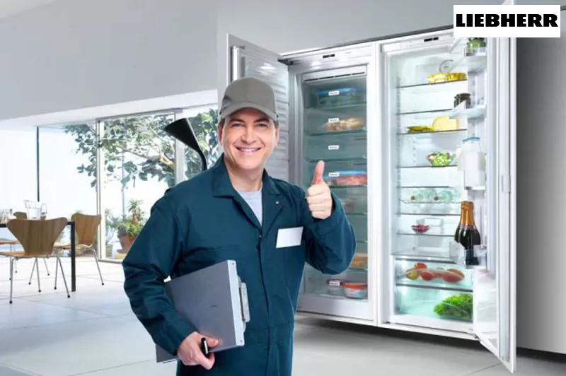 صيانة ليبهير وعناوينها