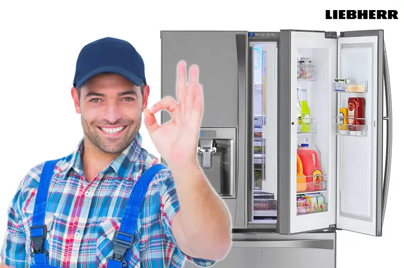 فروع صيانه ليبهير