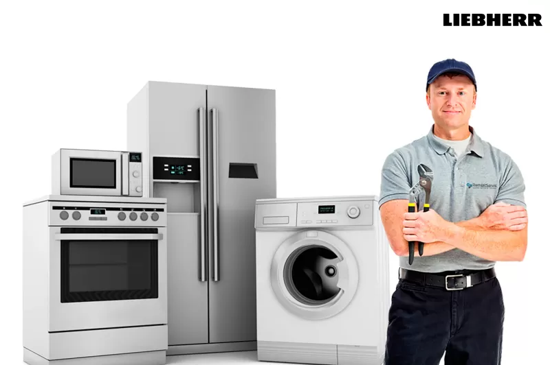 رقم صيانة ليبهير