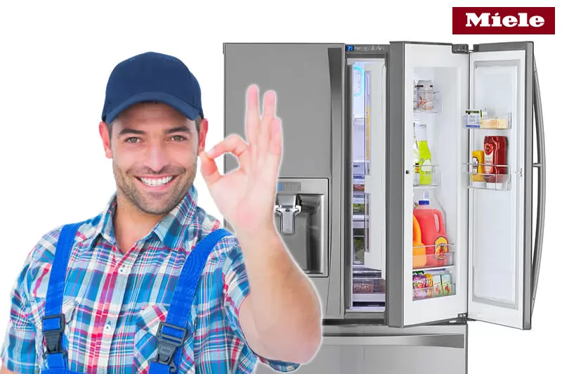 فروع صيانه ميلا